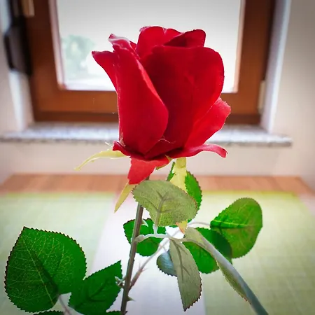 公寓 Mari 博希尼