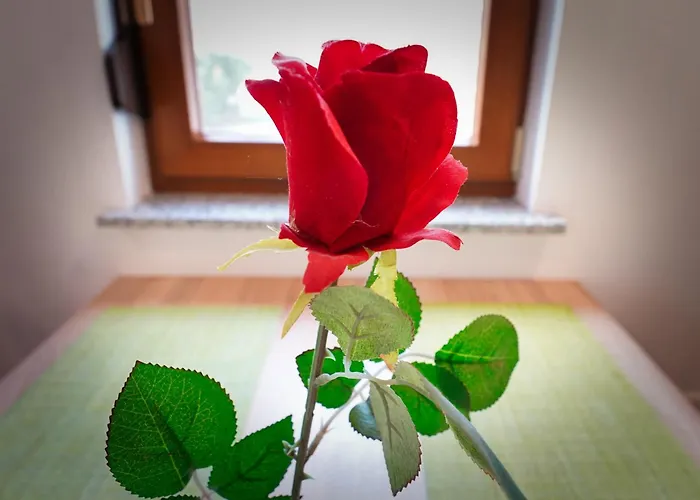 Διαμέρισμα Mari Bohinj